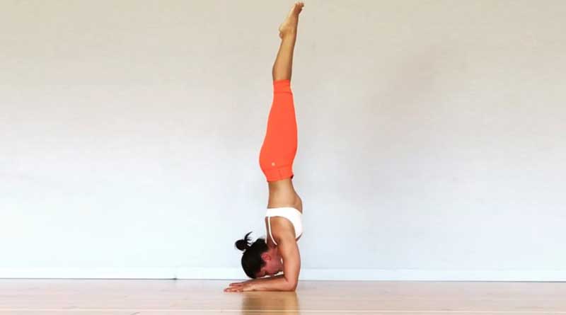 7 Holistic Benefits of Pincha Mayurasana or Forearm Stand - DoYou