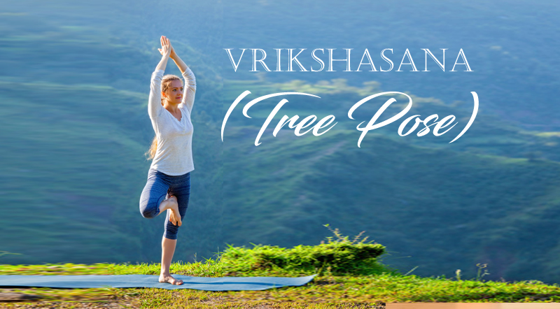 Woman practices balance yoga asana Vrikshasana tree pose in Himalayas  mountains outdoors in the..., Stock Photo, Picture And Low Budget Royalty  Free Image. Pic. ESY-055339665 | agefotostock