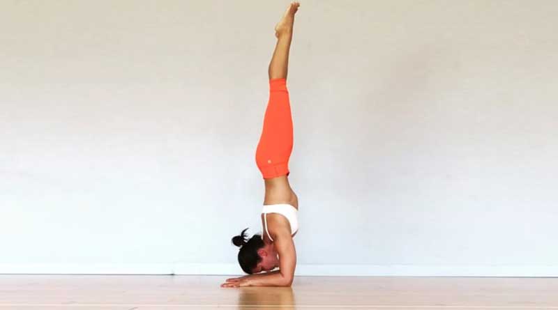 benefits of Arm Balance – Pincha Mayurasana – World Peace Yoga School