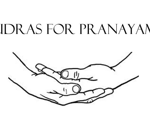 Mudras for Pranayama