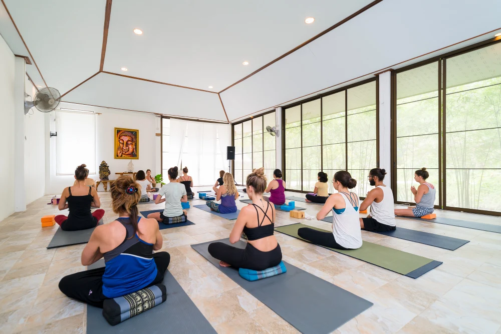 200-Hour Hybrid Multi-Style Yoga Teacher Training In Thailand