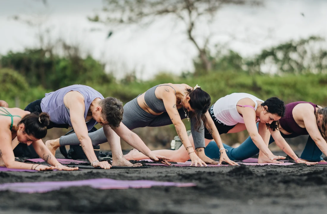 Yoga-Teacher-Training-In-Rishikesh-india