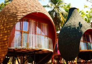 200-Hour-Yoga-Teacher-Training-In-Kerala-Surroundding