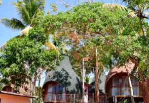 200-Hour-Yoga-Teacher-Training-In-Kerala-Yoga-Hall