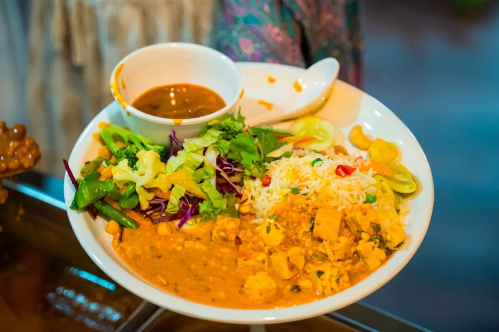 Facility Food at World Peace Yoga School (photo 8)