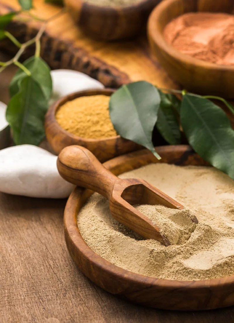 yoga-school-in-rishikesh