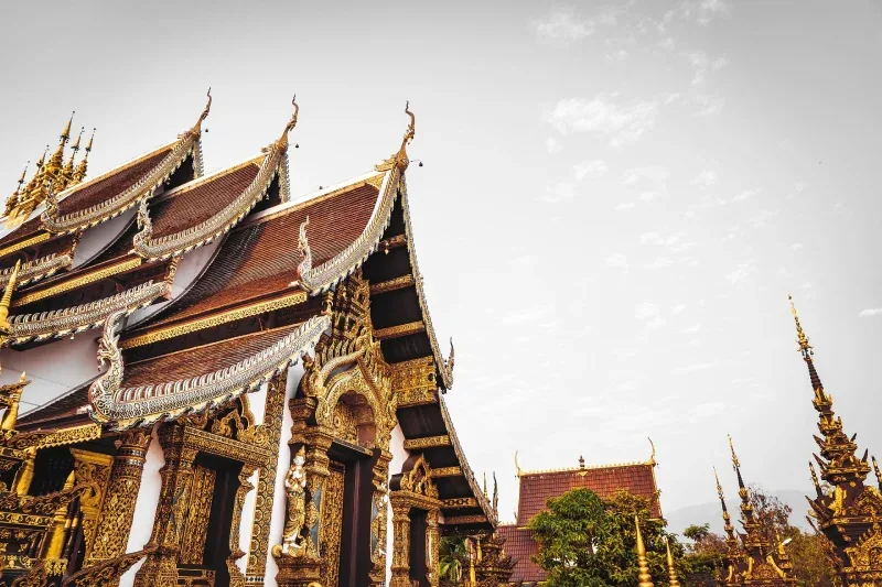 World Peace Yoga School Thailand Yoga Teacher Training