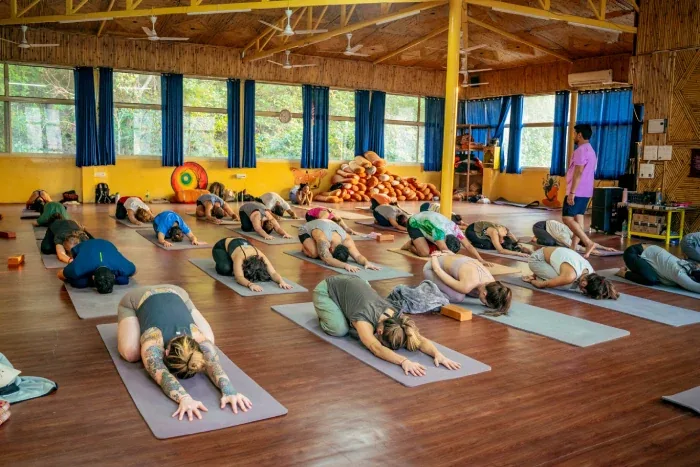 Yoga-Teacher-Training-In-Rishikesh-india