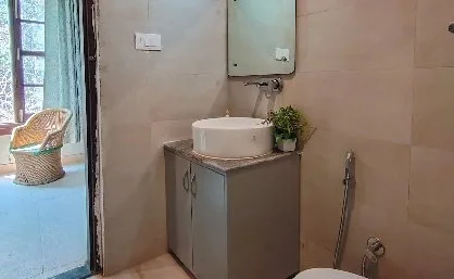 Bathroom basin with a mirror and a potted plant