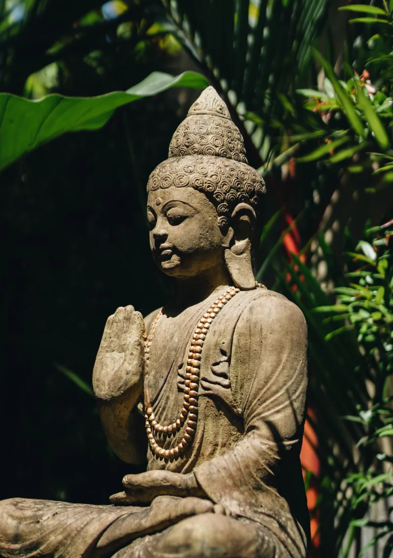 A stone Buddha statue in a tropical garden