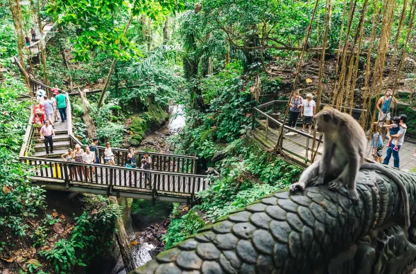 Ubud Monkey Forest in Bali