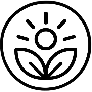 Inspiration icon