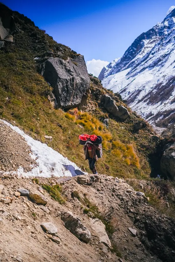 A trekker climbing a forested mountain slope