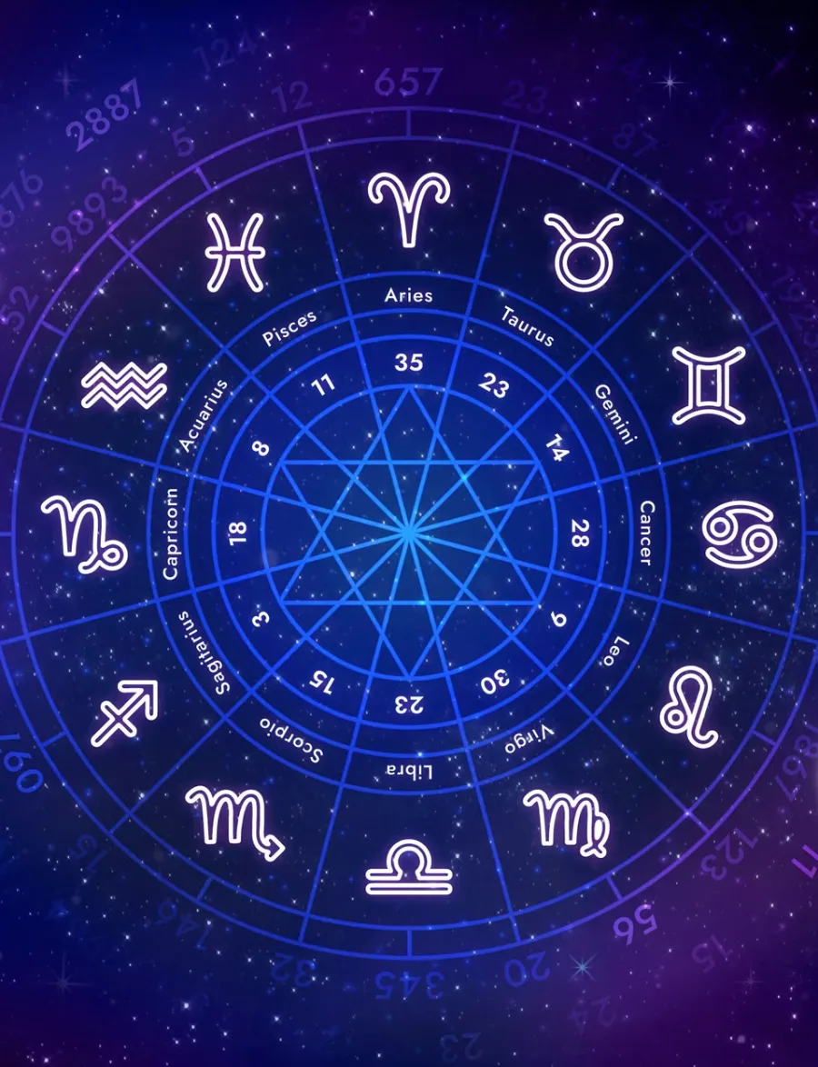 Astrological birth chart with zodiac signs and numbers