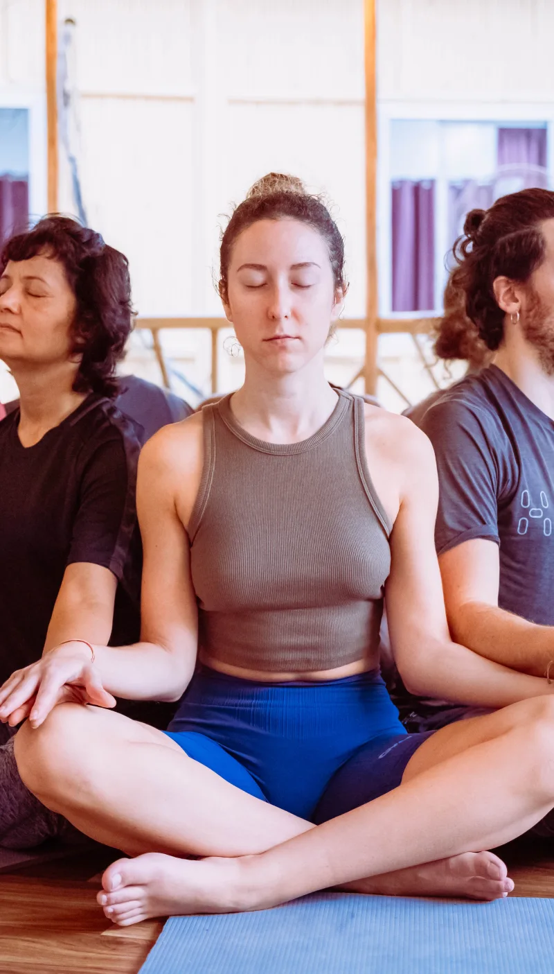 Students meditating side by side with eyes closed in a yoga hall
