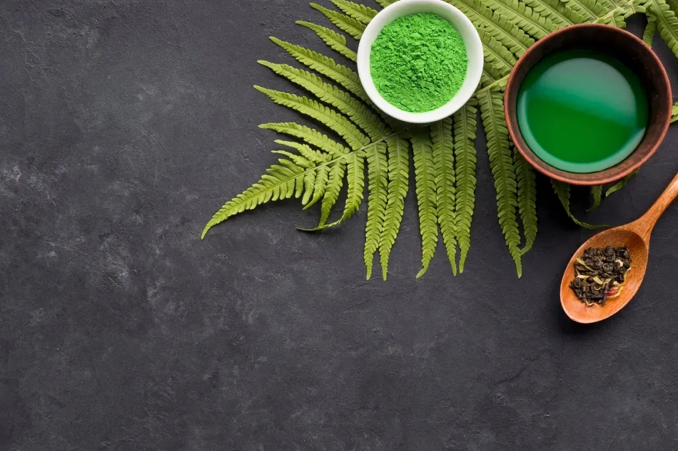 Green matcha, herbal tea, and a fern leaf on a slate table