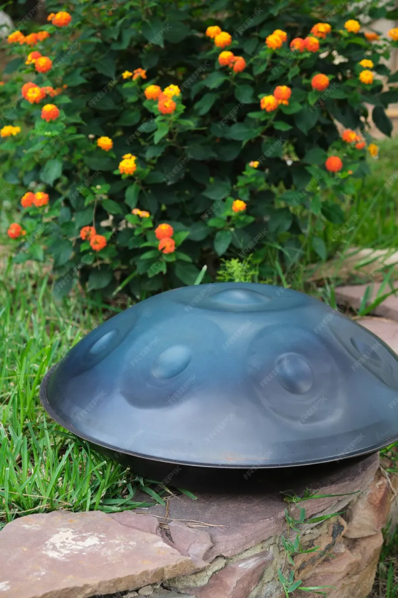 A handpan on a stone beside flowering shrubs